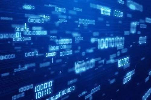 風口到來，大掌柜半年斬獲兩輪融資，上海網絡技術服務賽道迎來新標桿